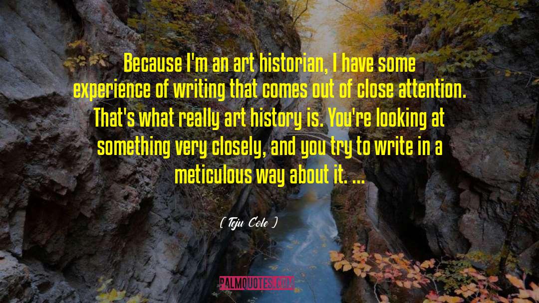 Meticulous quotes by Teju Cole