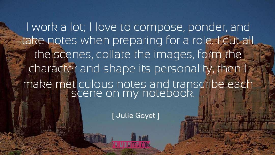 Meticulous quotes by Julie Gayet