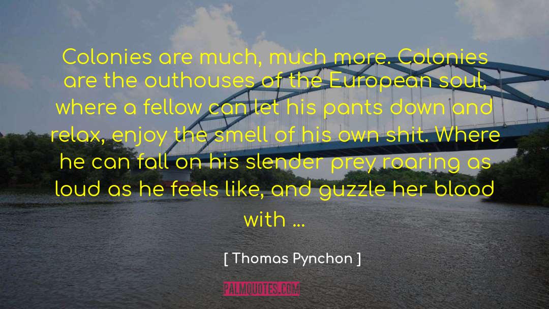 Metropolis quotes by Thomas Pynchon