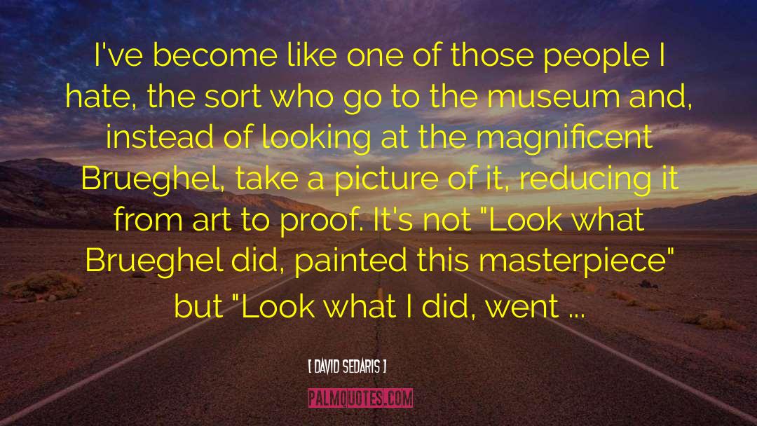 Metropolitan Museum Of Art quotes by David Sedaris