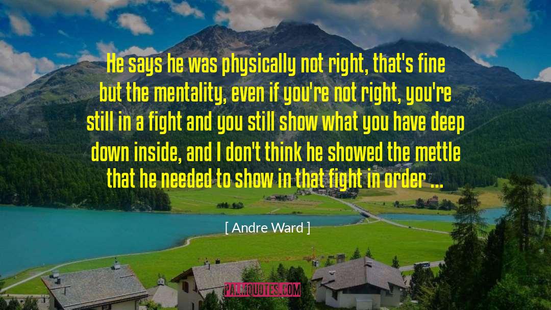 Mettle quotes by Andre Ward