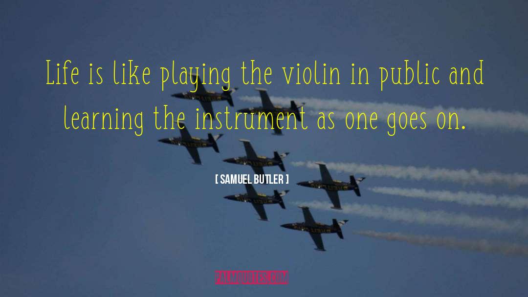 Metzler Violin quotes by Samuel Butler