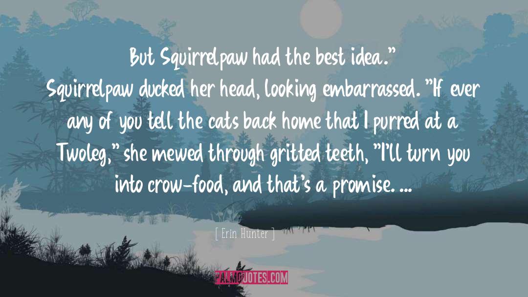 Mewed Ziyareti quotes by Erin Hunter