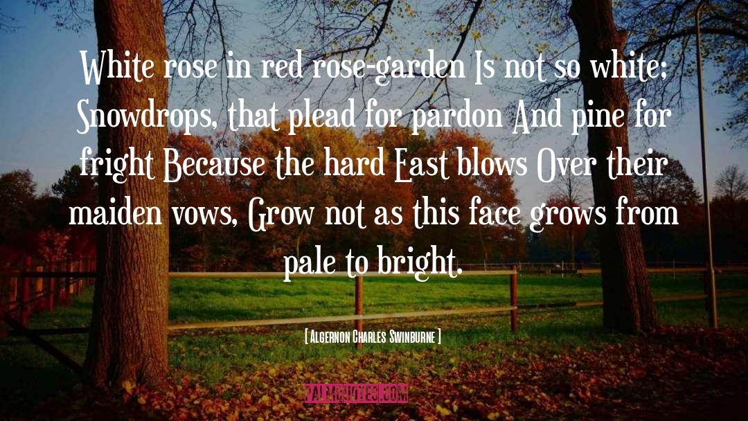 Mexicali Rose quotes by Algernon Charles Swinburne