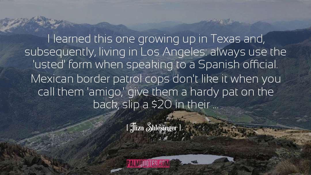 Mexican Border quotes by Iliza Shlesinger