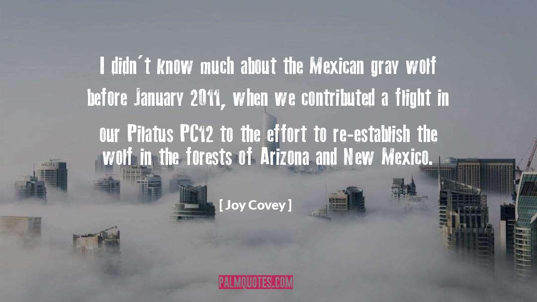 Mexican quotes by Joy Covey