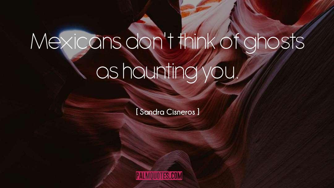 Mexicans quotes by Sandra Cisneros