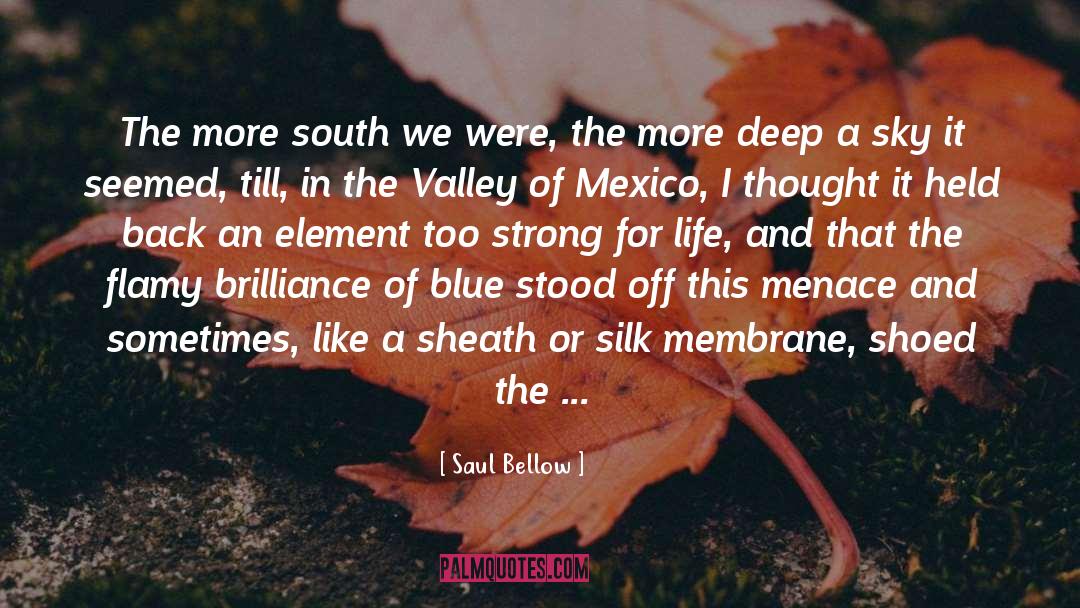 Mexico quotes by Saul Bellow