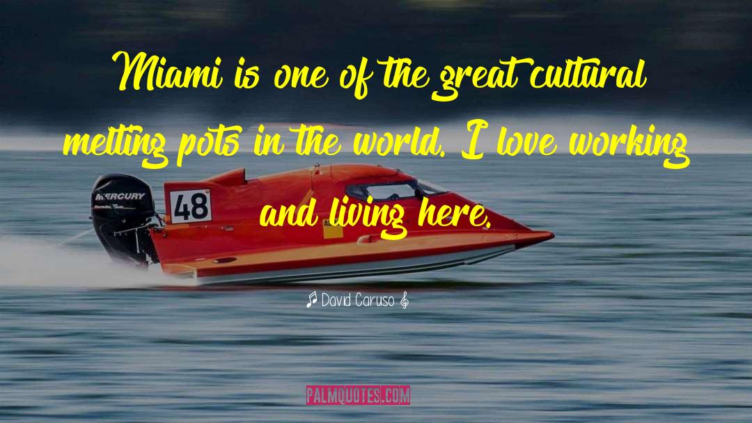 Miami Beach quotes by David Caruso