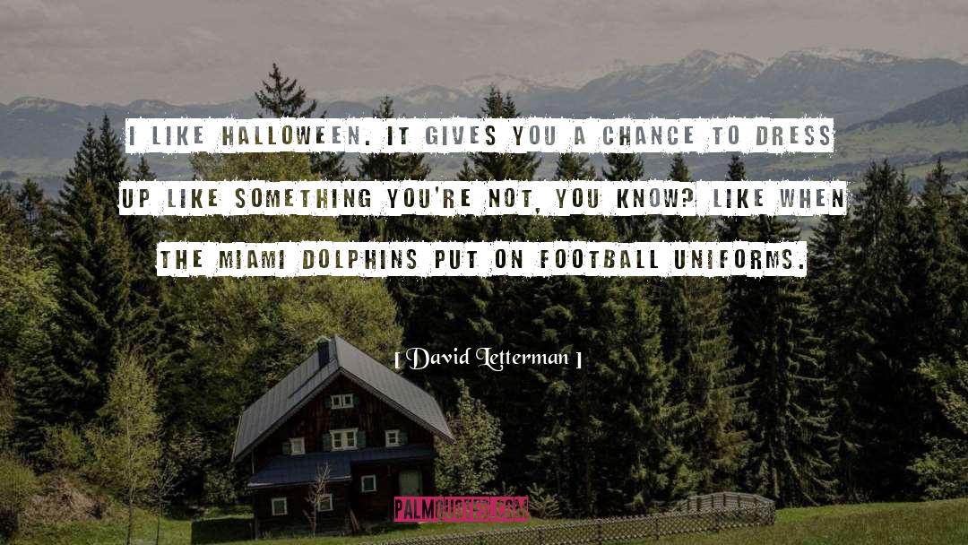 Miami Dolphins quotes by David Letterman