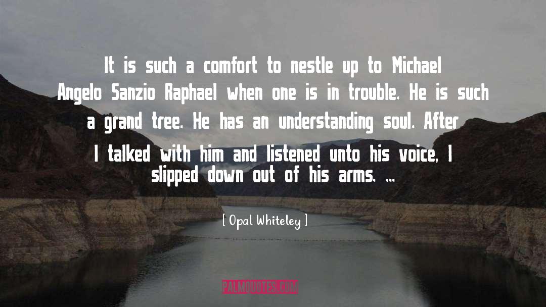 Michael Angelo quotes by Opal Whiteley