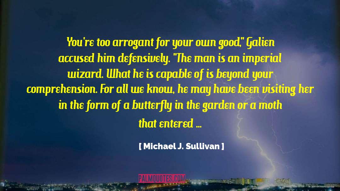 Michael J Sullivan quotes by Michael J. Sullivan