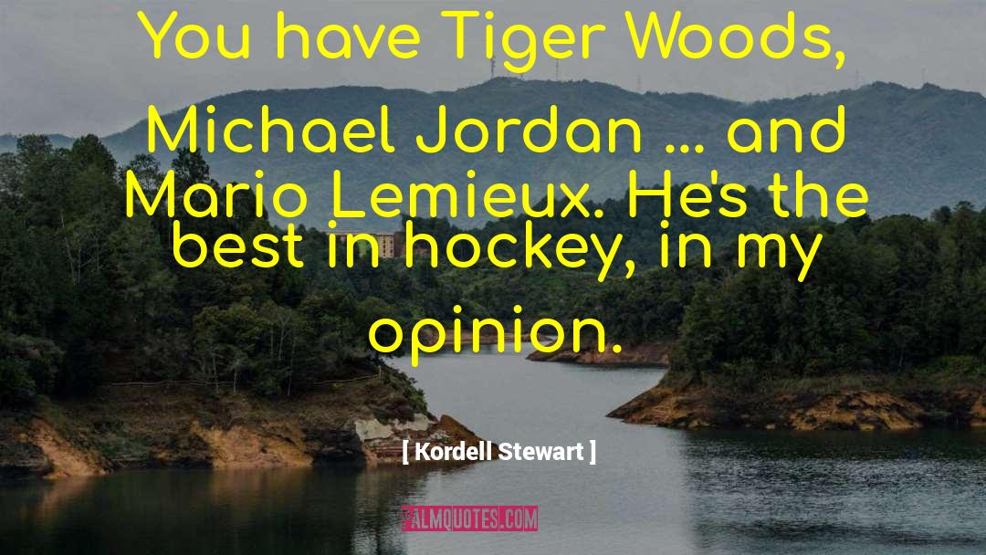 Michael Jordan quotes by Kordell Stewart