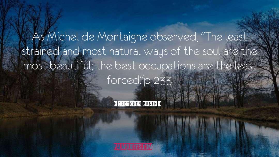 Michel De Montaigne Best quotes by Gretchen Rubin