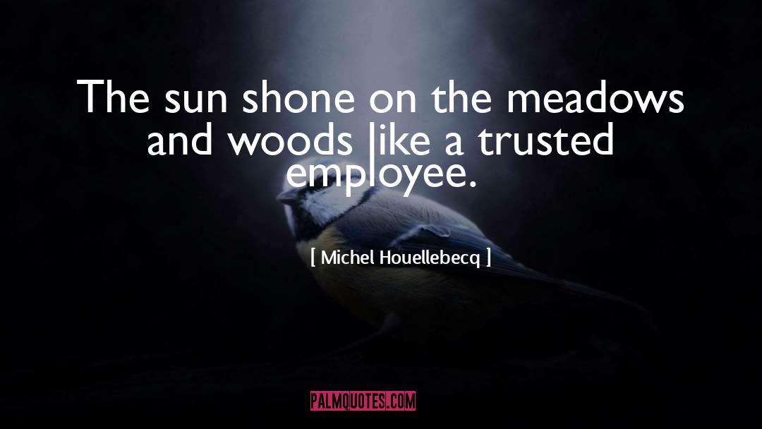 Michel Houellebecq quotes by Michel Houellebecq