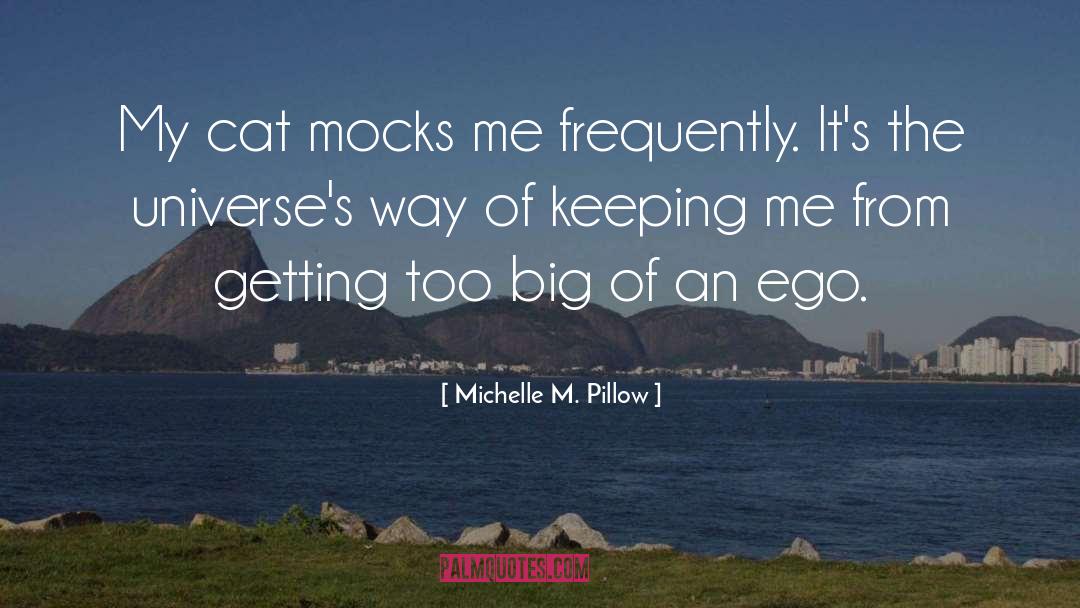 Michelle Bachman quotes by Michelle M. Pillow