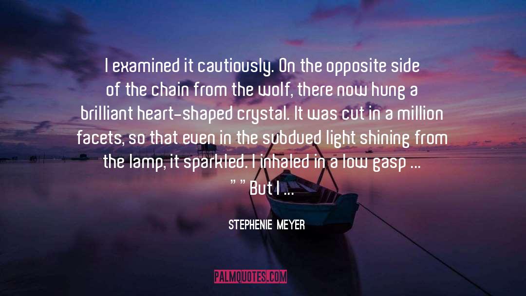 Michelotti Crystal Lamp quotes by Stephenie Meyer