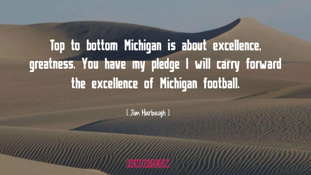 Michigan Wolverines quotes by Jim Harbaugh