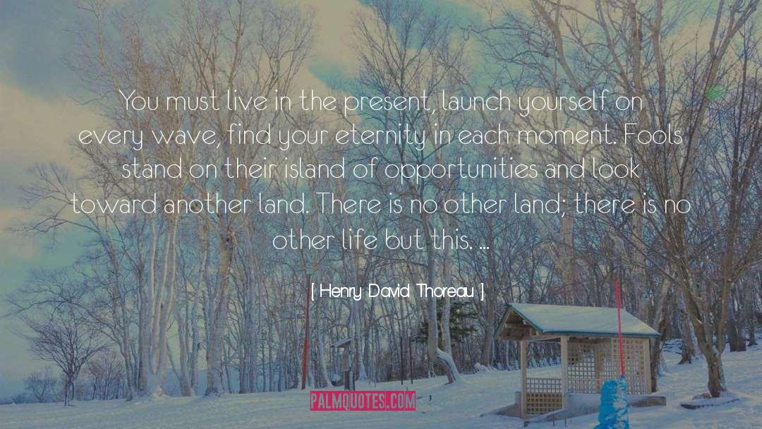 Micro Wave quotes by Henry David Thoreau