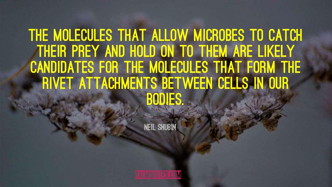 Microbes quotes by Neil Shubin