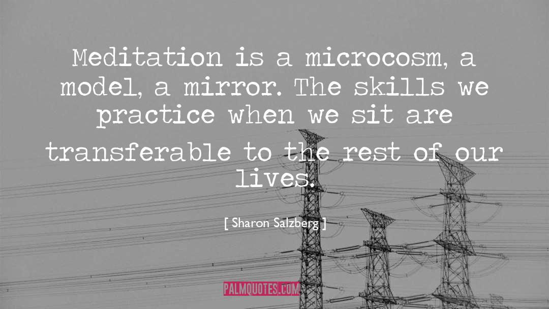 Microcosm quotes by Sharon Salzberg