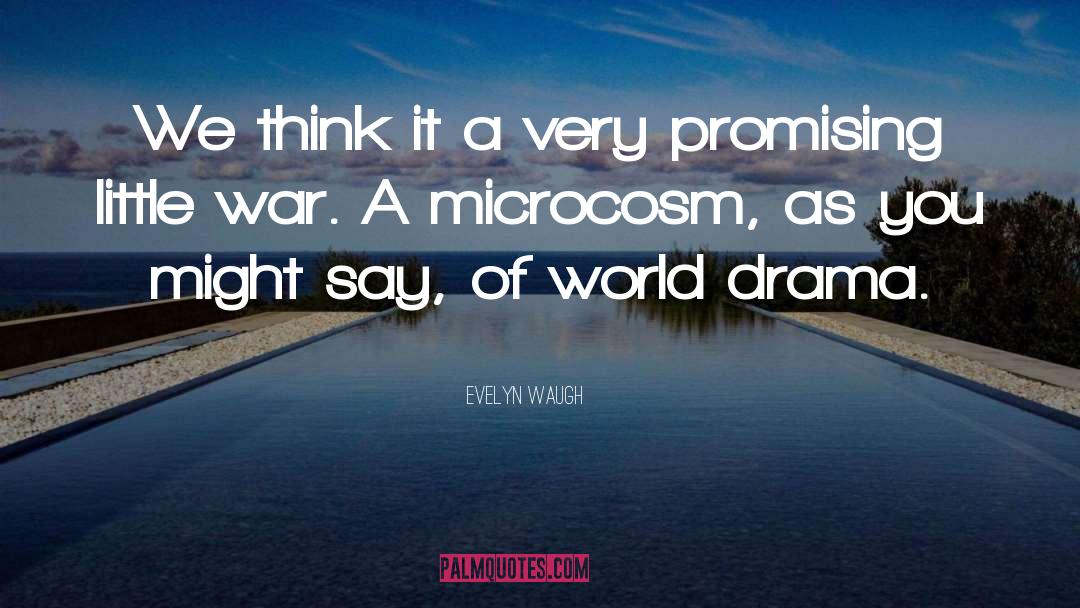 Microcosm quotes by Evelyn Waugh