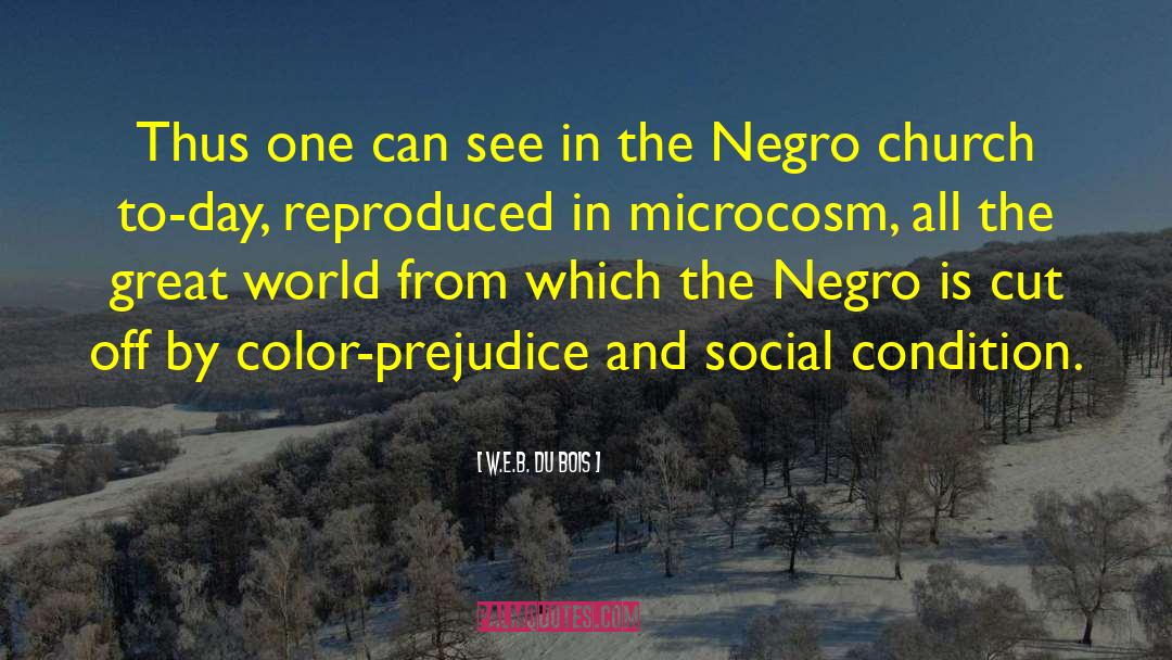 Microcosm quotes by W.E.B. Du Bois