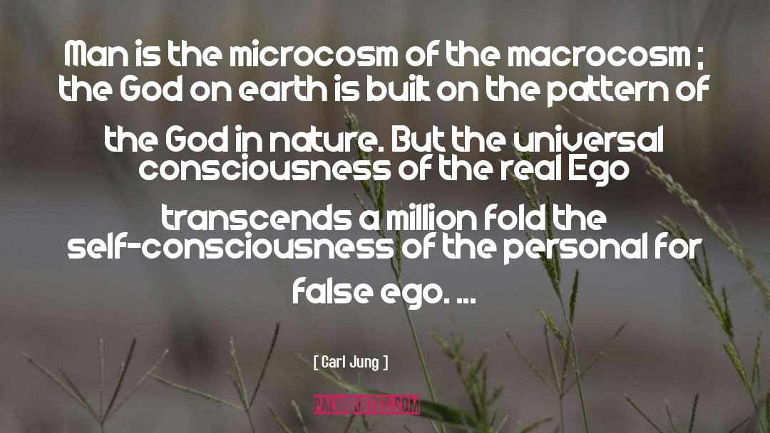 Microcosm quotes by Carl Jung