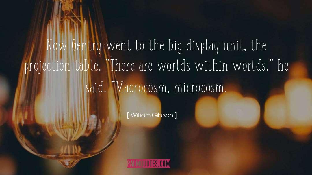 Microcosm quotes by William Gibson