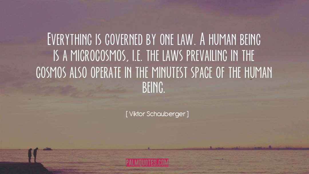 Microcosmos quotes by Viktor Schauberger