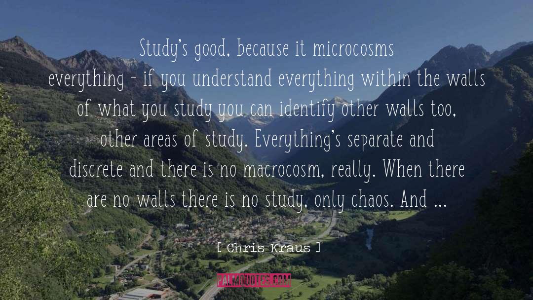 Microcosms quotes by Chris Kraus