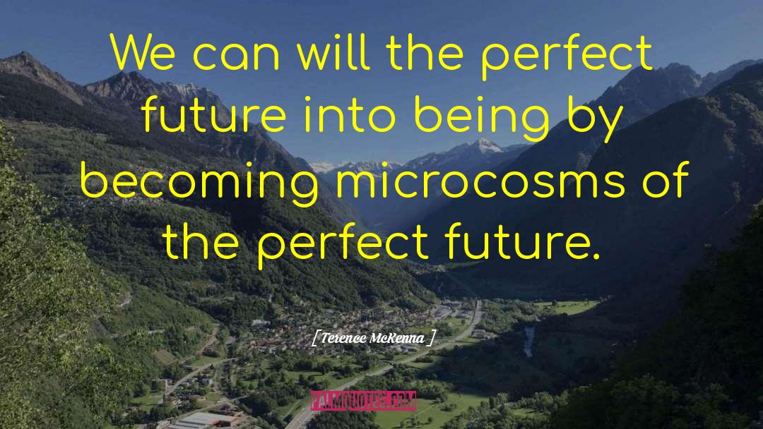 Microcosms quotes by Terence McKenna