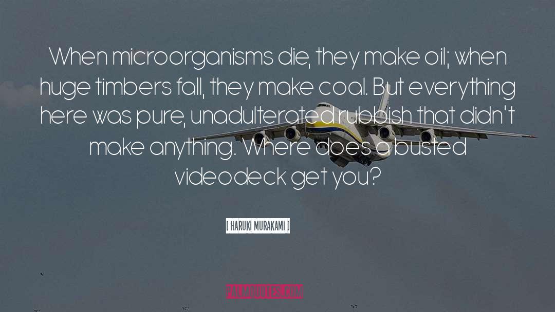 Microorganisms quotes by Haruki Murakami