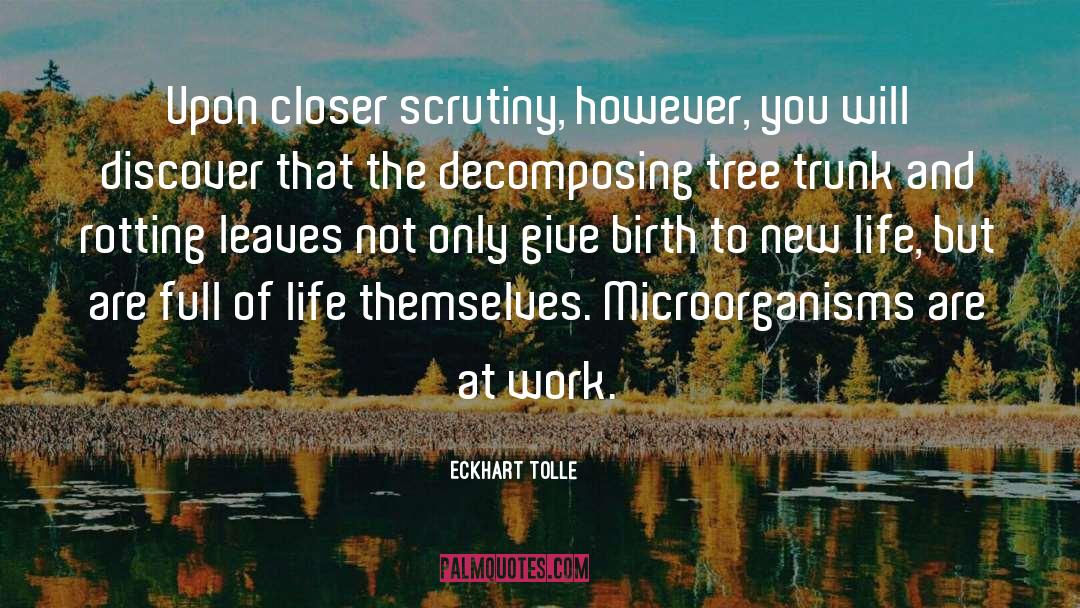 Microorganisms quotes by Eckhart Tolle