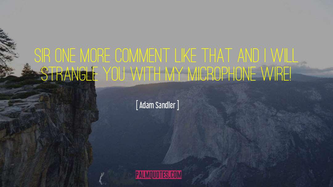 Microphones quotes by Adam Sandler