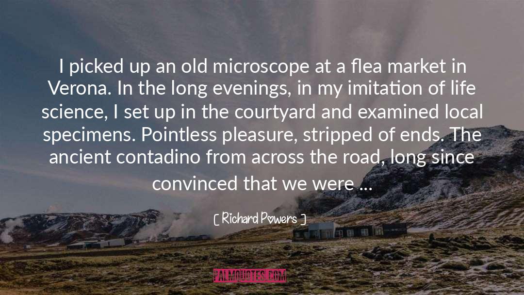 Microscope quotes by Richard Powers