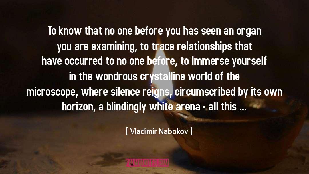 Microscope quotes by Vladimir Nabokov