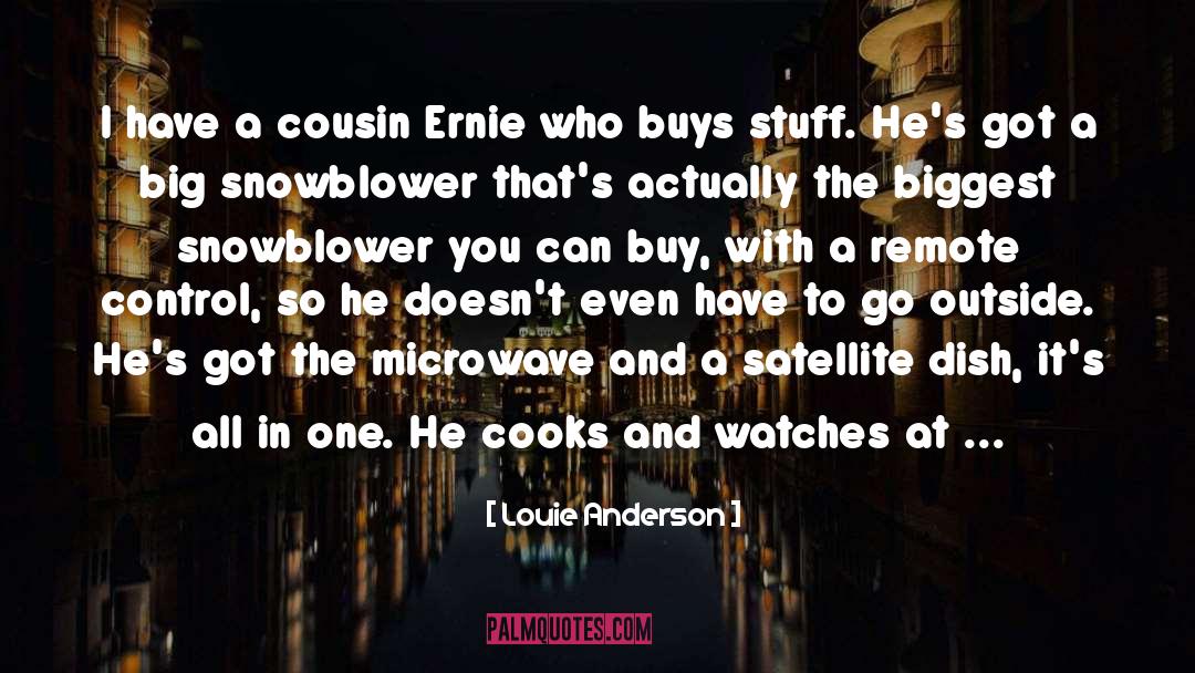 Microwave quotes by Louie Anderson