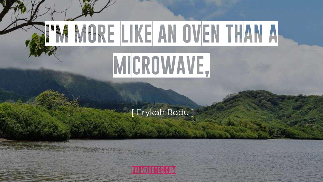 Microwave quotes by Erykah Badu