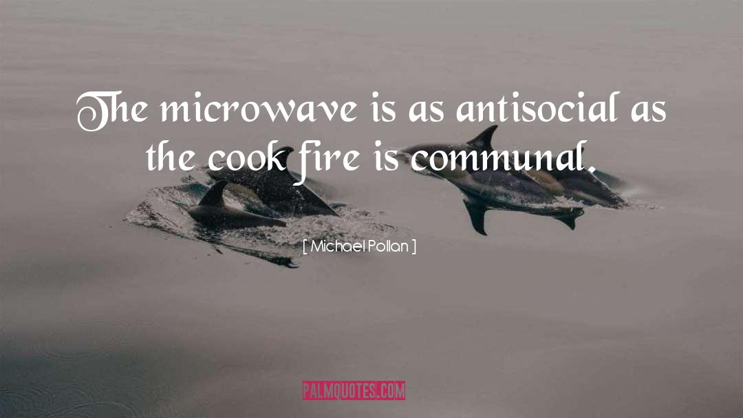 Microwave quotes by Michael Pollan