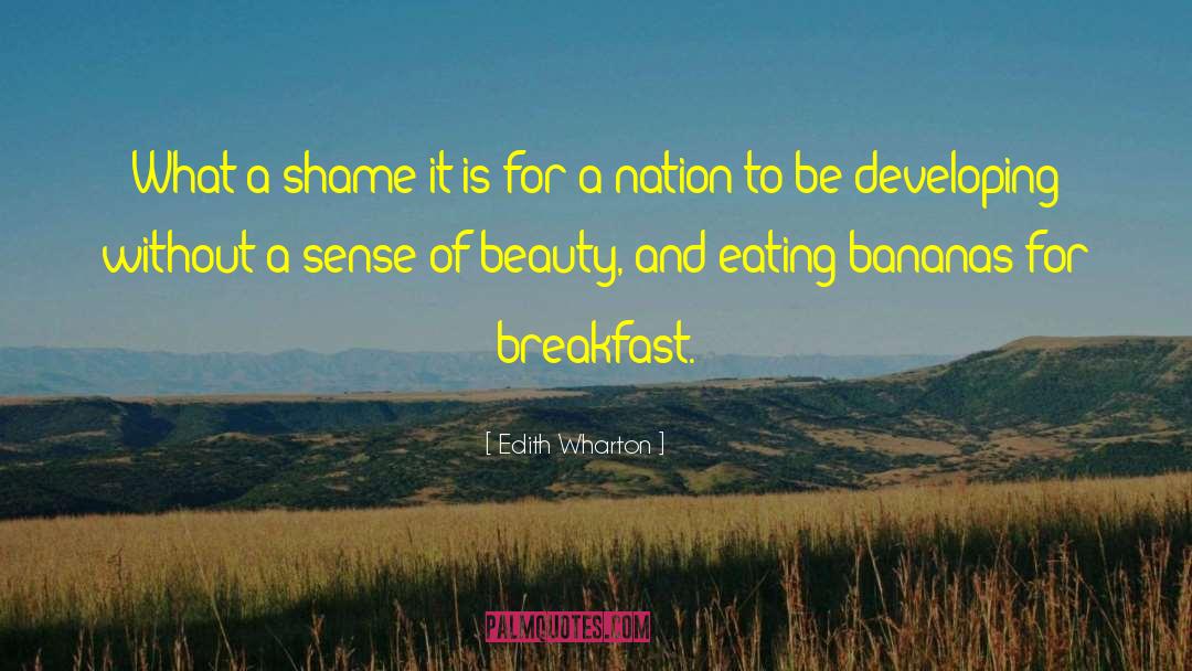 Middle America quotes by Edith Wharton