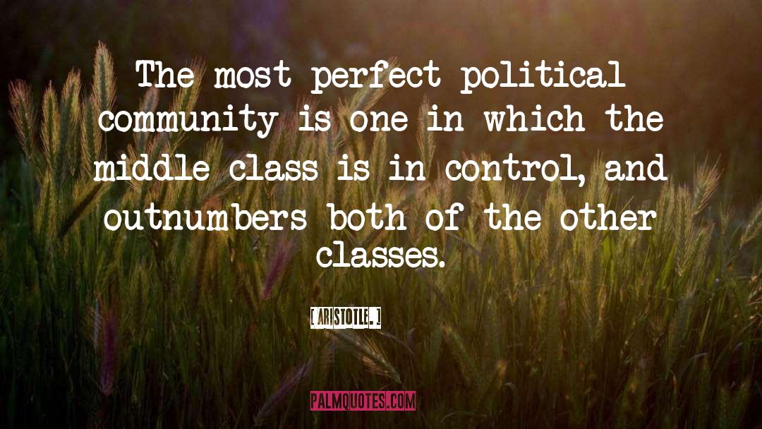 Middle Class Life quotes by Aristotle.