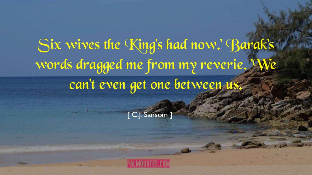 Middle East Historical Fiction quotes by C.J. Sansom