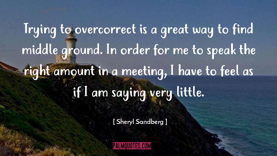 Middle Ground quotes by Sheryl Sandberg