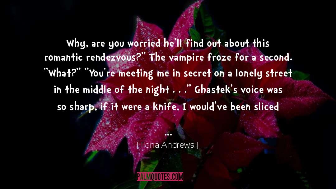 Middle Of The Night quotes by Ilona Andrews