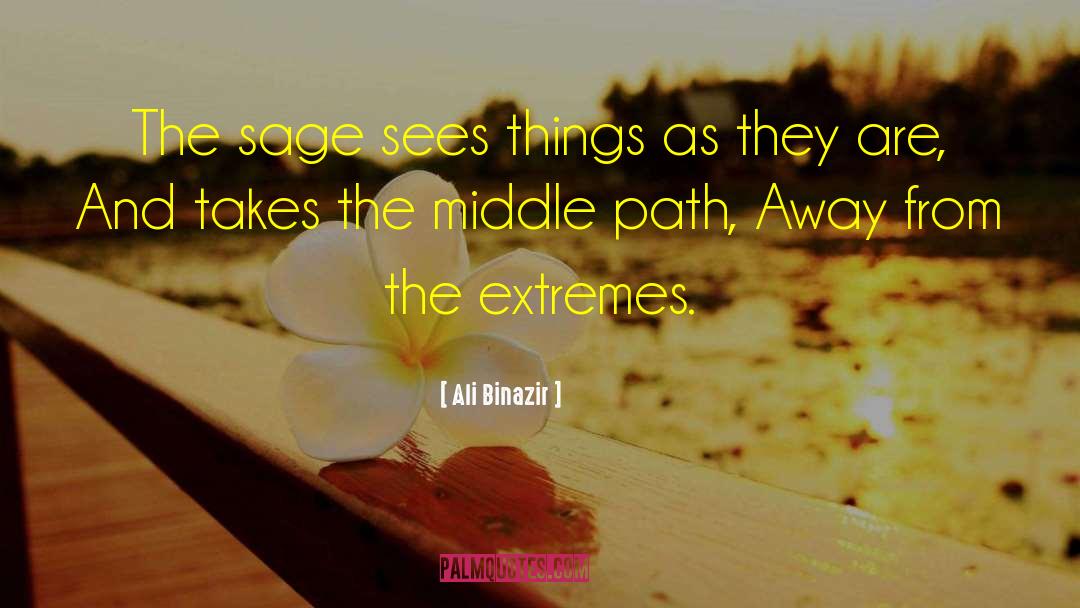 Middle Path quotes by Ali Binazir