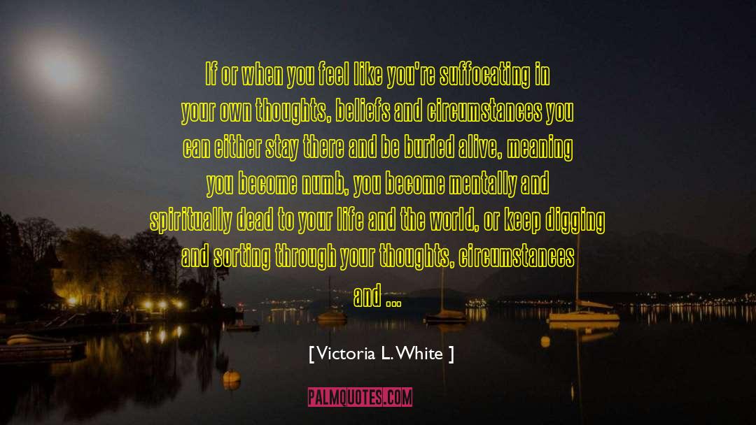 Middle World Consciousness quotes by Victoria L. White