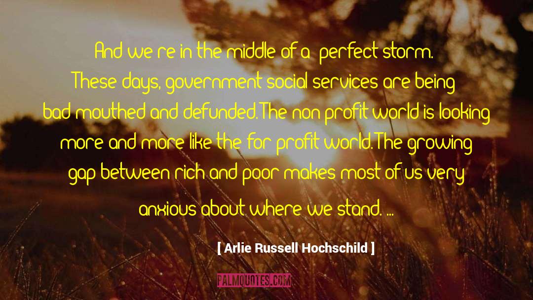 Middle World Consciousness quotes by Arlie Russell Hochschild