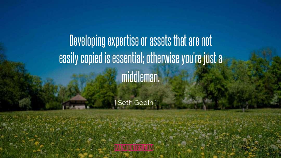 Middlemen quotes by Seth Godin