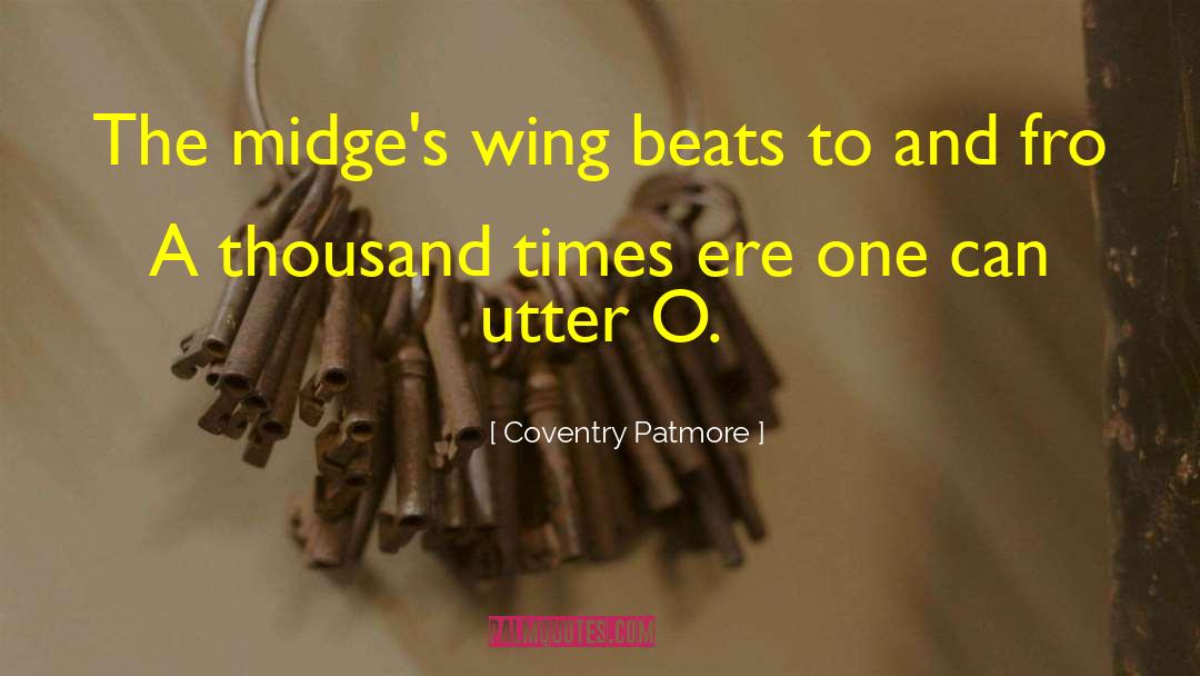 Midges quotes by Coventry Patmore